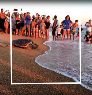 windsurf_peloponnese_messinia_romanos_34