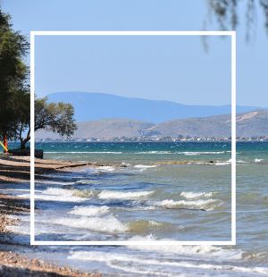 windsurf_spot_viotia_dilesi_5